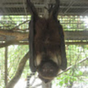 Meet your Posher, Hyun